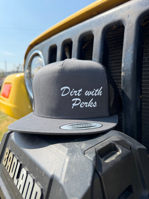 DWP Flat bill hat
